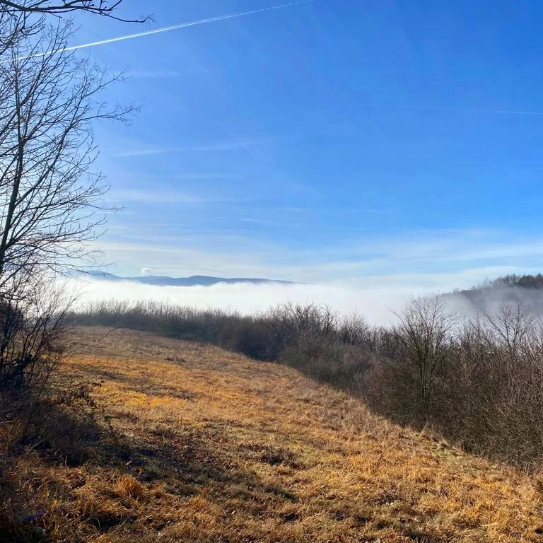 IMG_20240102_185004_095.jpg IMG_20240102_185004_095.jpg